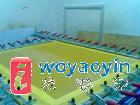 (yng)zӡW(wng)