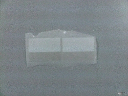 ُӡˢ(bio)